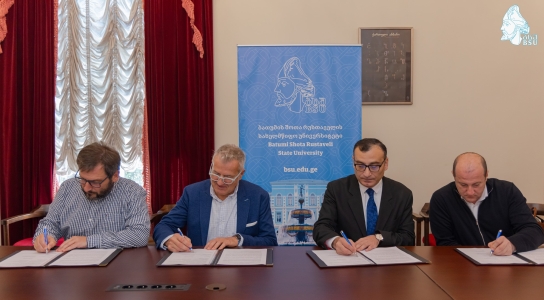 გადიდება სურათი