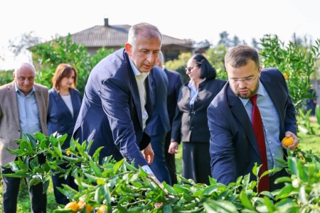სურათი