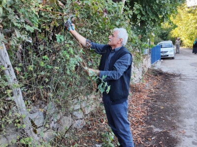 გადიდება სურათი