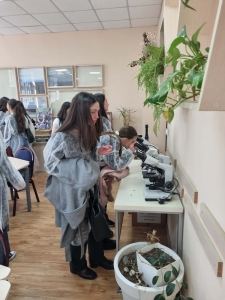 სურათი