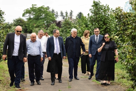 სურათი