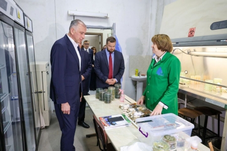 სურათი